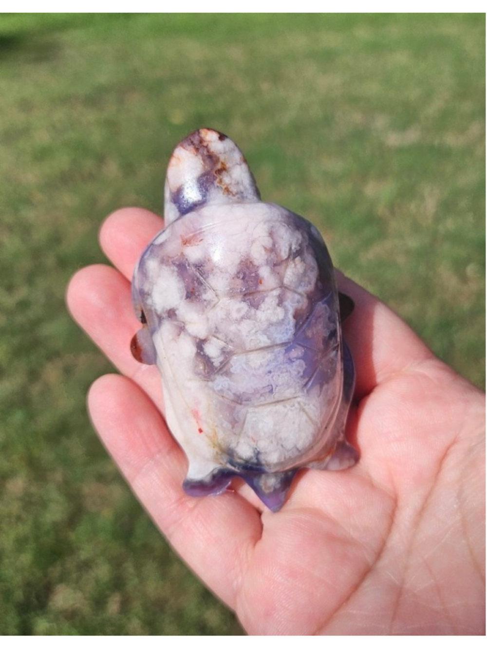 blue flower agate turtle 3 in